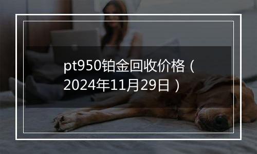 pt950铂金回收价格（2024年11月29日）