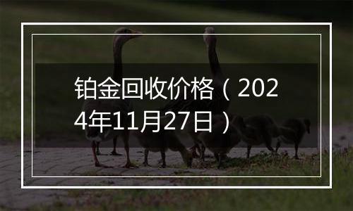 铂金回收价格（2024年11月27日）