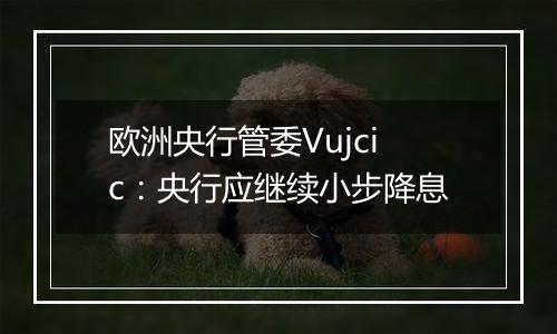 欧洲央行管委Vujcic：央行应继续小步降息