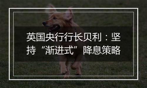 英国央行行长贝利：坚持“渐进式”降息策略