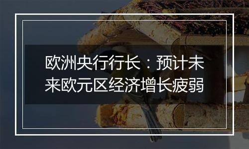 欧洲央行行长：预计未来欧元区经济增长疲弱