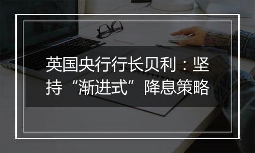 英国央行行长贝利：坚持“渐进式”降息策略