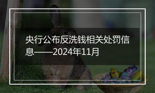 央行公布反洗钱相关处罚信息——2024年11月