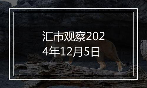 汇市观察2024年12月5日