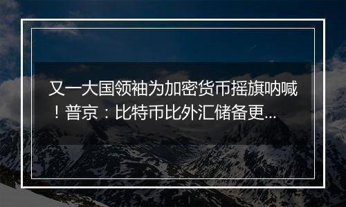 又一大国领袖为加密货币摇旗呐喊！普京：比特币比外汇储备更好