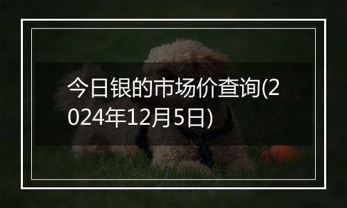 今日银的市场价查询(2024年12月5日)