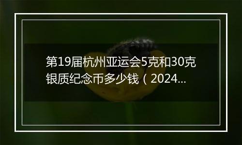 第19届杭州亚运会5克和30克银质纪念币多少钱（2024年12月05日）