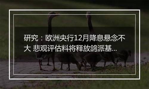 研究：欧洲央行12月降息悬念不大 悲观评估料将释放鸽派基调