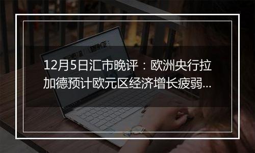 12月5日汇市晚评：欧洲央行拉加德预计欧元区经济增长疲弱 欧元/美元延续涨势至1.05上方