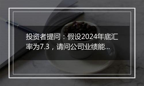 投资者提问：假设2024年底汇率为7.3，请问公司业绩能增厚几千万元？谢谢...