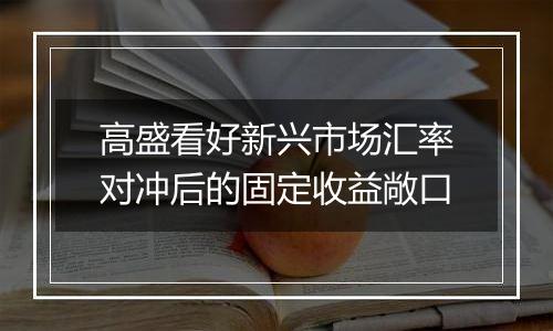 高盛看好新兴市场汇率对冲后的固定收益敞口