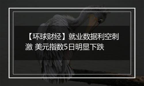 【环球财经】就业数据利空刺激 美元指数5日明显下跌