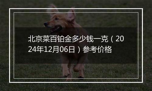 北京菜百铂金多少钱一克（2024年12月06日）参考价格