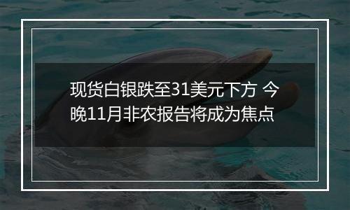 现货白银跌至31美元下方 今晚11月非农报告将成为焦点