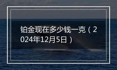 铂金现在多少钱一克（2024年12月5日）