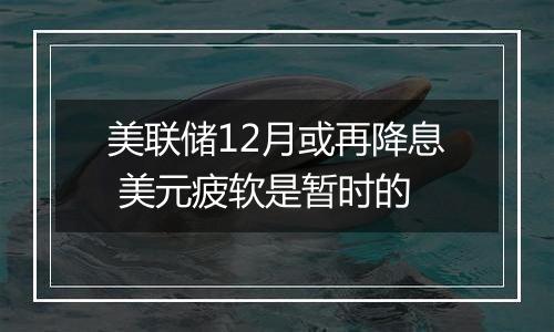 美联储12月或再降息 美元疲软是暂时的