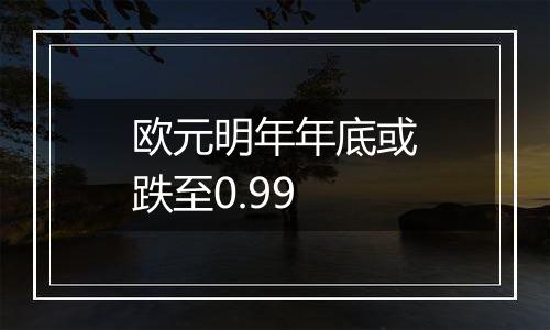 欧元明年年底或跌至0.99