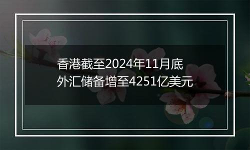 香港截至2024年11月底外汇储备增至4251亿美元