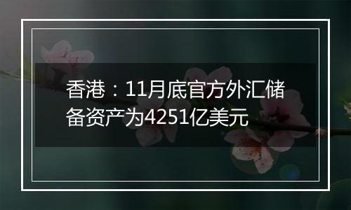 香港：11月底官方外汇储备资产为4251亿美元