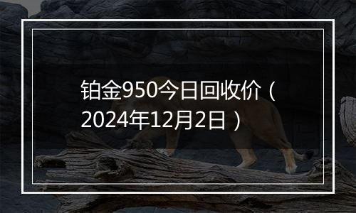 铂金950今日回收价（2024年12月2日）