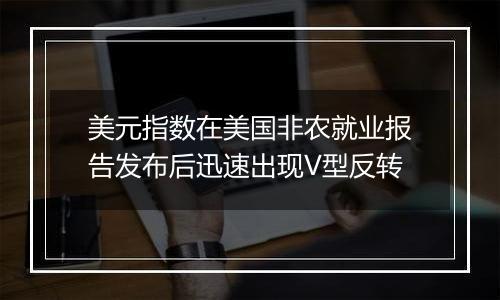 美元指数在美国非农就业报告发布后迅速出现V型反转