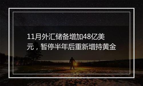 11月外汇储备增加48亿美元，暂停半年后重新增持黄金