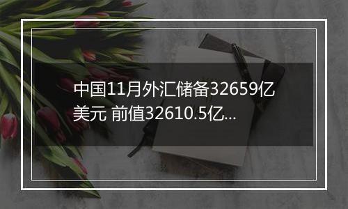 中国11月外汇储备32659亿美元 前值32610.5亿美元