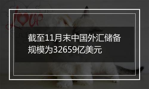 截至11月末中国外汇储备规模为32659亿美元