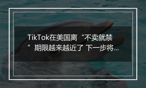 TikTok在美国离“不卖就禁”期限越来越近了 下一步将面临什么？