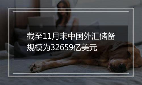 截至11月末中国外汇储备规模为32659亿美元