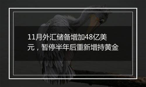 11月外汇储备增加48亿美元，暂停半年后重新增持黄金