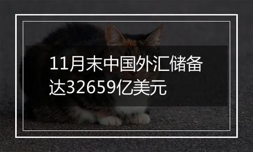 11月末中国外汇储备达32659亿美元