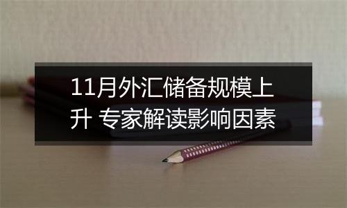 11月外汇储备规模上升 专家解读影响因素