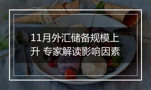 11月外汇储备规模上升 专家解读影响因素