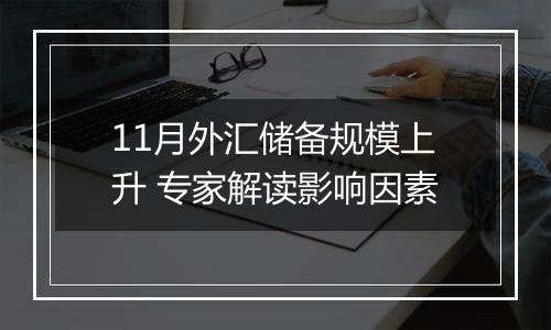 11月外汇储备规模上升 专家解读影响因素