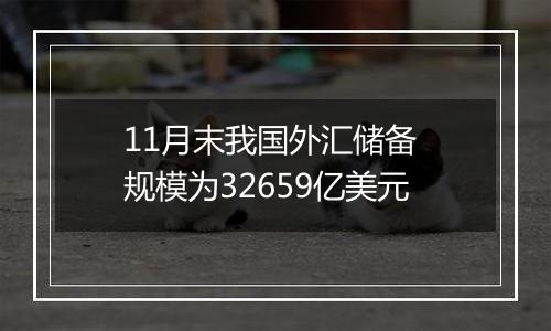 11月末我国外汇储备 规模为32659亿美元