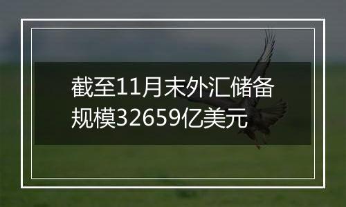 截至11月末外汇储备规模32659亿美元