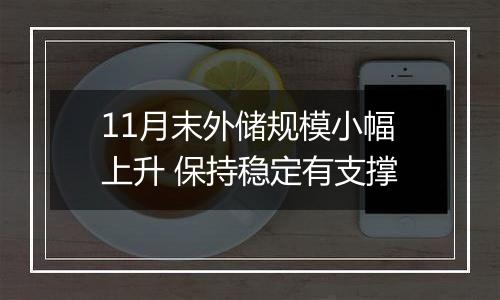 11月末外储规模小幅上升 保持稳定有支撑