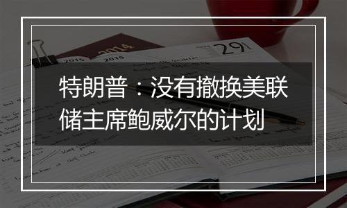 特朗普：没有撤换美联储主席鲍威尔的计划