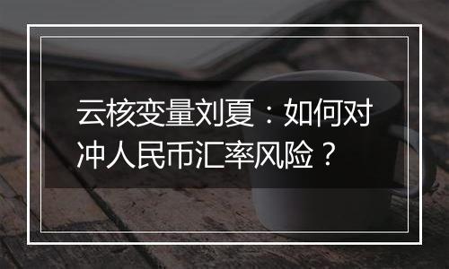 云核变量刘夏：如何对冲人民币汇率风险？