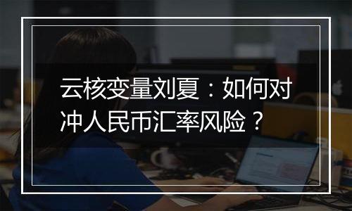 云核变量刘夏：如何对冲人民币汇率风险？