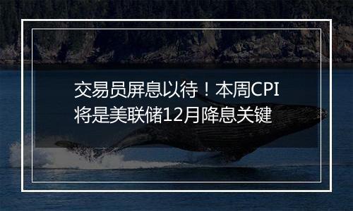 交易员屏息以待！本周CPI将是美联储12月降息关键