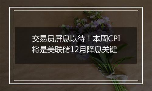 交易员屏息以待！本周CPI将是美联储12月降息关键