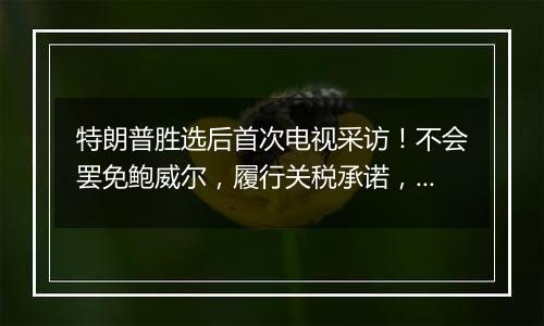 特朗普胜选后首次电视采访！不会罢免鲍威尔，履行关税承诺，考虑取消出生公民权