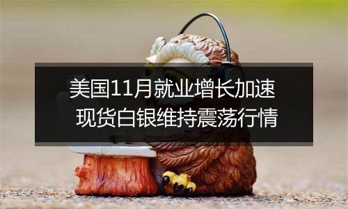 美国11月就业增长加速 现货白银维持震荡行情