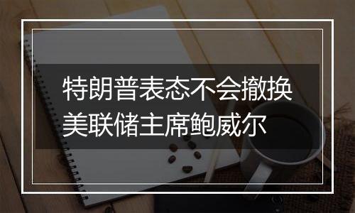 特朗普表态不会撤换美联储主席鲍威尔