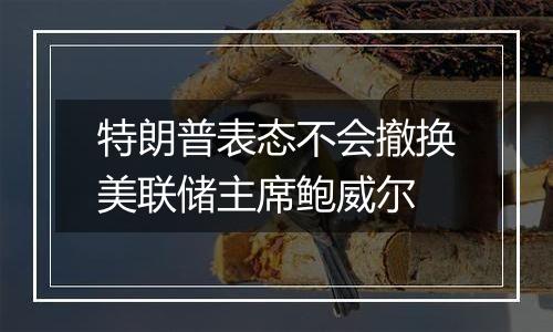 特朗普表态不会撤换美联储主席鲍威尔