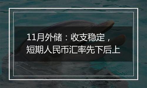 11月外储：收支稳定，短期人民币汇率先下后上