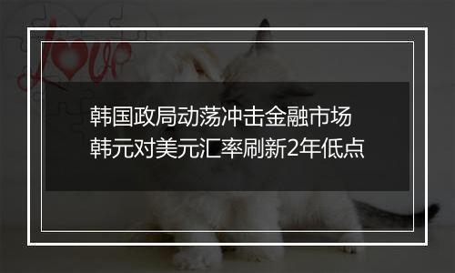 韩国政局动荡冲击金融市场 韩元对美元汇率刷新2年低点