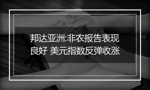 邦达亚洲:非农报告表现良好 美元指数反弹收涨